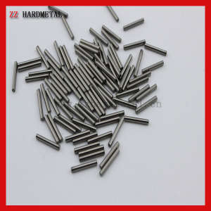 Tungsten Carbide Sintered Rods with 2 Straight Coolant Hole